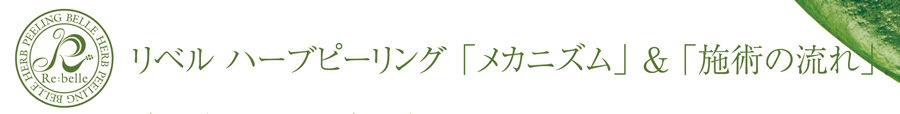 メカニズムと施術の流れ